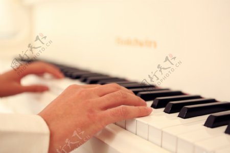 钢琴乐手图片