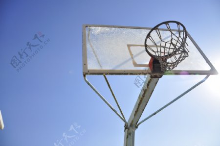 阳光下的篮球架图片