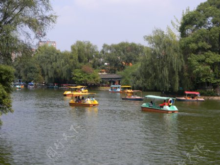 翠湖风景之游艇图片
