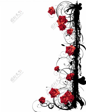 古典玫瑰花矢量图