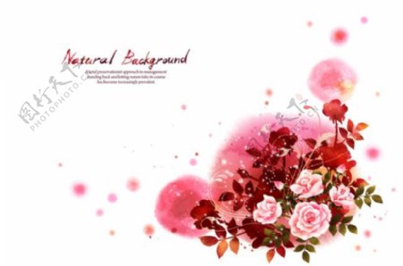 水彩玫瑰花枝花朵PSD设计素材
