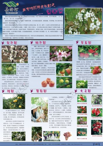 温泉果树宣传册图片