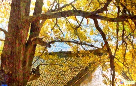 油画银杏树秋天图片