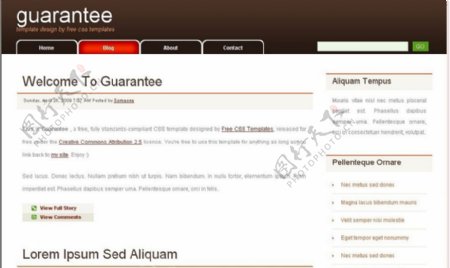 咖啡色博客信息网页模板