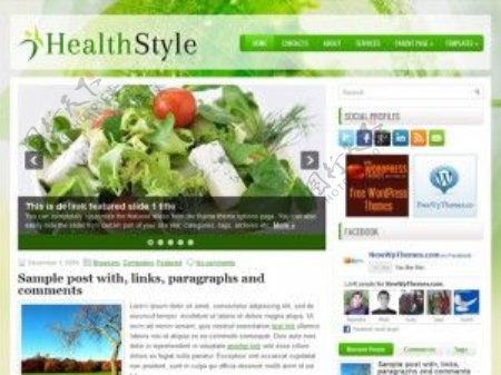 饮食健康绿色的WordPress主题模板