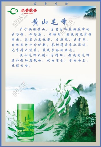 品普茶业黄山毛峰图片