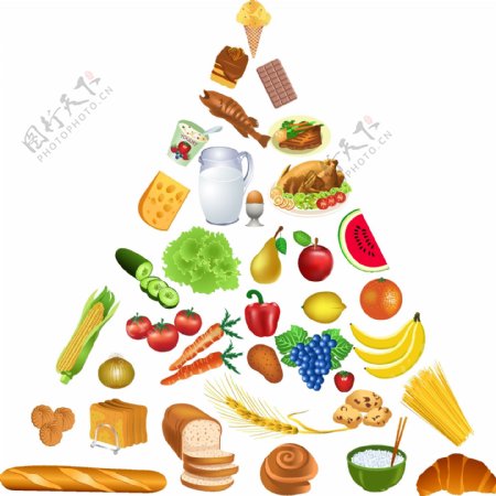 食物组成的金字塔