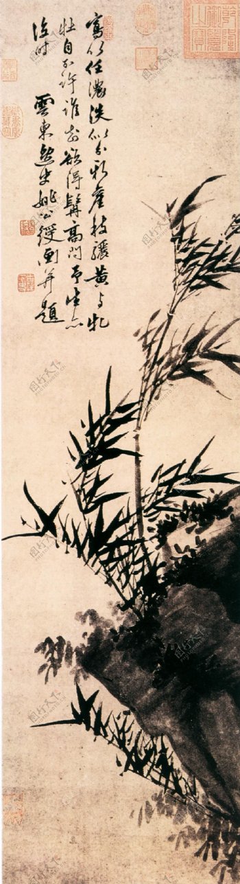古典花鸟画竹子石头