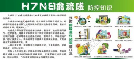 H7N9禽流感海报模板设计