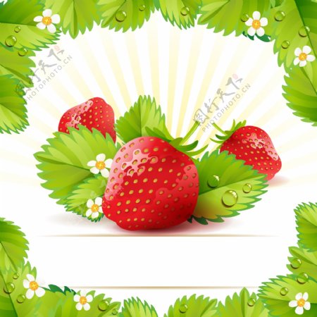 草莓主题背景矢量素材01