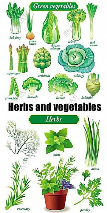 多款绿色主题植物与蔬菜矢量素材