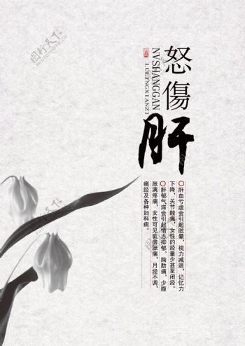 中式传统养生系列海报图片