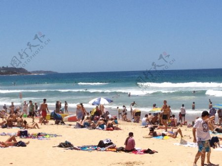 酷热的海滩悉尼manly图片