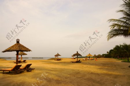 巴厘岛的海滩图片