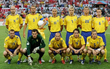 瑞典2006图片