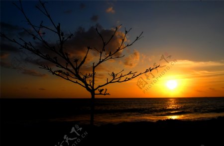 海岸落日晚景图片