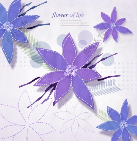 紫色五角星花