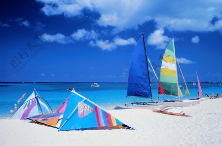 高清晰的清爽夏日海滩帆船图片