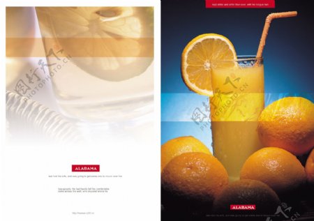 香橙饮品画册图片