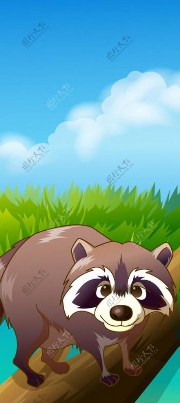 可爱动物绿色小浣熊图片