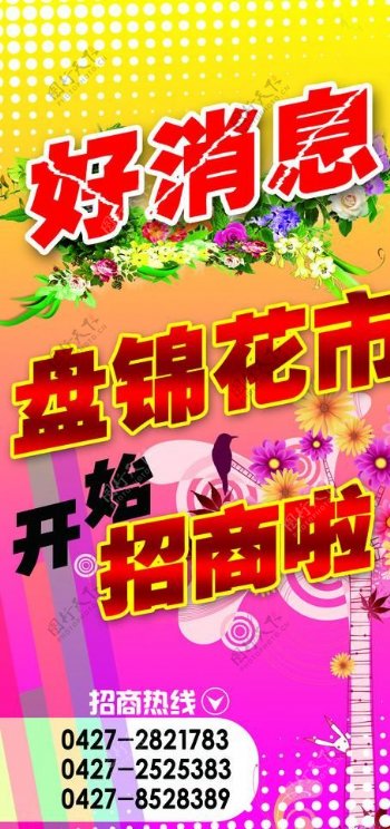 花市好消息图片