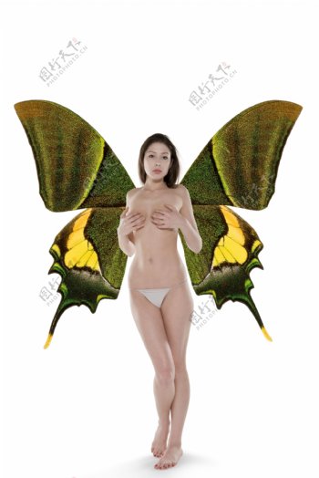 蝴蝶女人图片