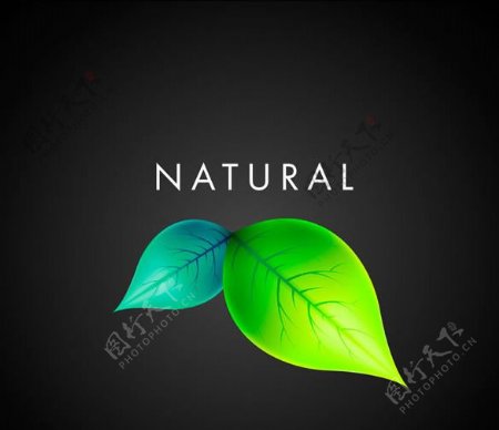 绿色自然创意设计矢量素材
