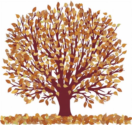 落叶树木季节变化矢量图