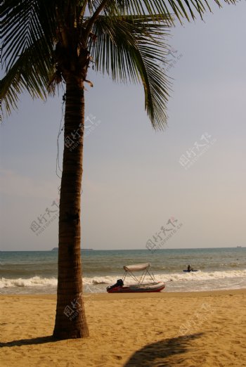 海树椰风三亚湾图片