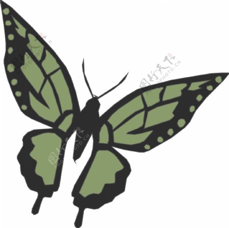 印花矢量图动物昆虫抽象动物蝴蝶免费素材