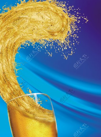 重庆啤酒2010封面图片