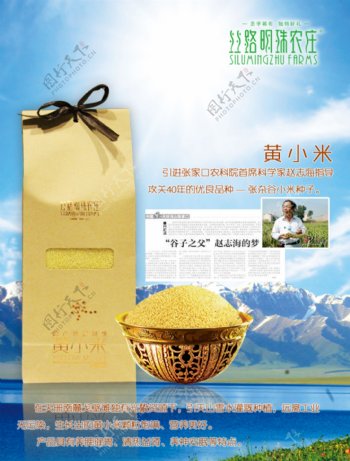 产品礼盒宣传黄小米图片
