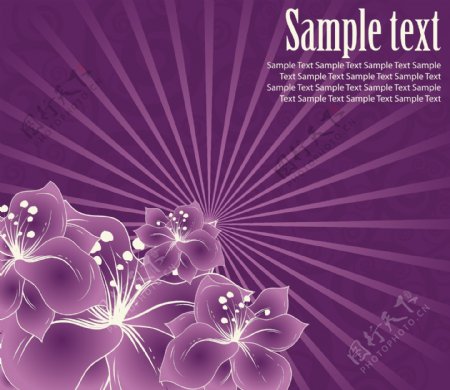 紫色花纹线条背景图