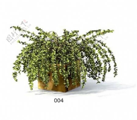 植物盆栽室内装饰素材免费下载盆栽3d模型免费下载37