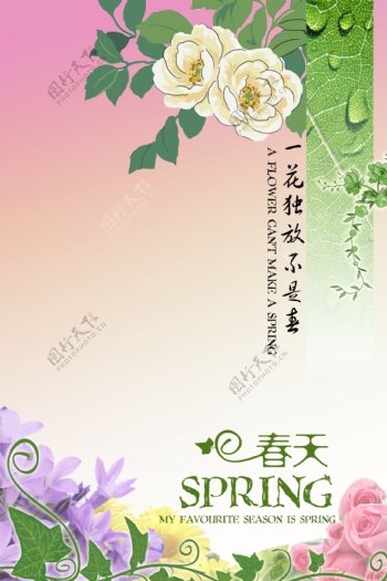 花纹春季海报图片