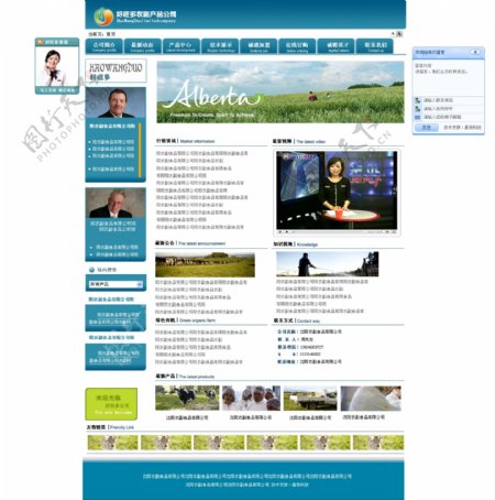 网站模板图片