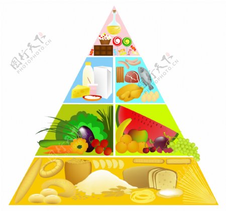 3食物金字塔矢量素材