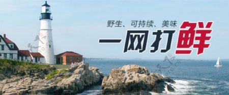 海鲜大海报