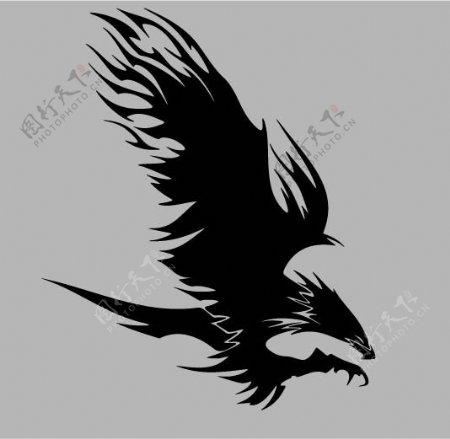印花矢量图动物鸟类鹰黑色免费素材