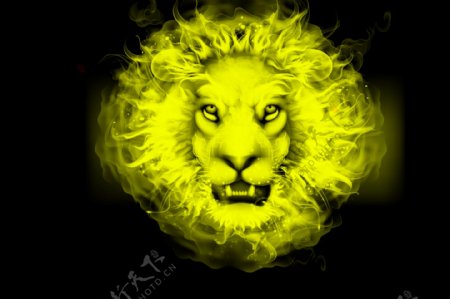 火焰狮头