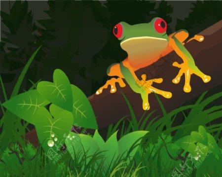 发光的森林树蛙图形的CDR