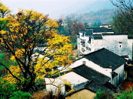 广西农村风景