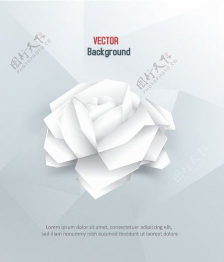 白玫瑰折纸文本背景矢量素材