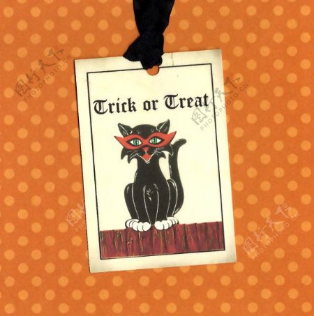 吊牌文字英文卡通动物猫免费素材