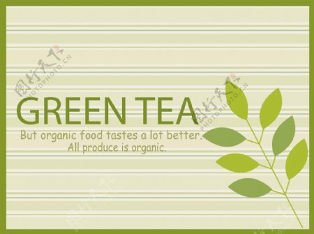 绿茶商标图片