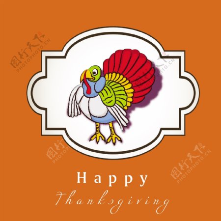 感恩节快乐的概念丰富多彩的土耳其在橙色背景