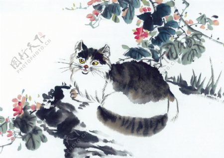 中华艺术绘画古画动物绘画猫中国古代绘画