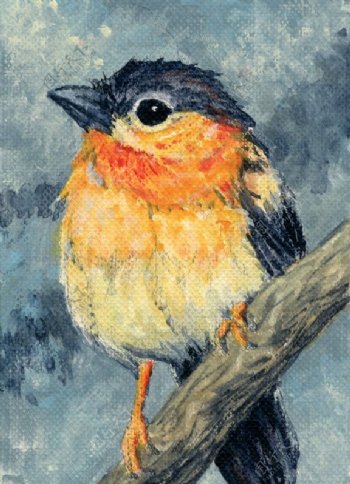 位图动物小鸟色彩橘黄色免费素材