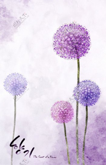 唯美的紫花