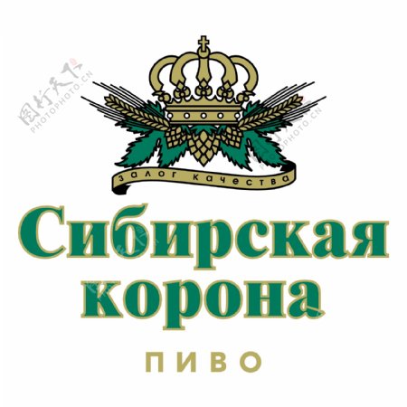 西伯利亚科罗娜啤酒